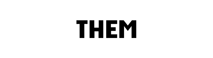 Bidan Bold  Free Fonts Download