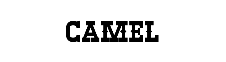 Winslett Bold  Free Fonts Download