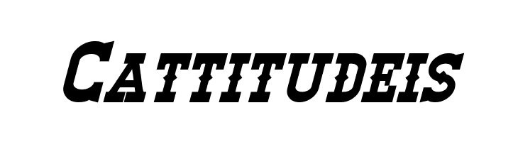 Winslett Bold Italic  Free Fonts Download