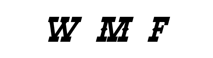 Winslett Bold Italic  Free Fonts Download