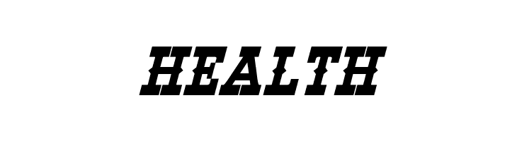Winslett Bold Italic  Free Fonts Download