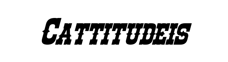 Rio Oro Bold Italic  Free Fonts Download