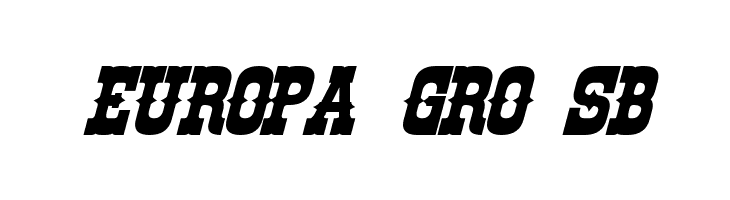 Rio Oro Bold Italic  Free Fonts Download