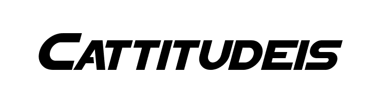 Sigma Five Sans Italic  Free Fonts Download