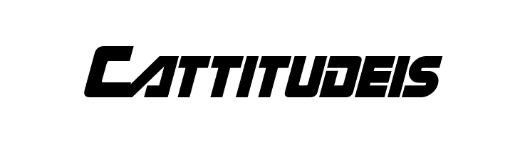 Gin Rai Italic  Free Fonts Download