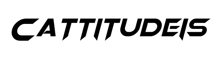 Orion Pax Bold Italic  Free Fonts Download