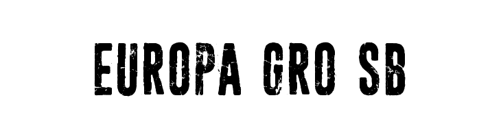 Sun zoom spark  Free Fonts Download