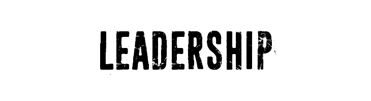 Sun zoom spark  Free Fonts Download