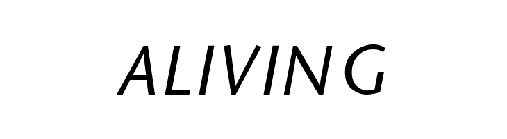 SapirSansItalic  Free Fonts Download