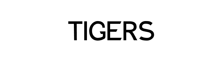 Charger Bold  Free Fonts Download