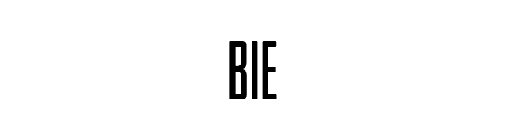 Entschuldigung Regular  Free Fonts Download