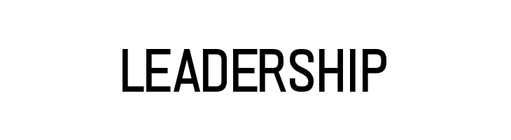 PRIMERA  Free Fonts Download