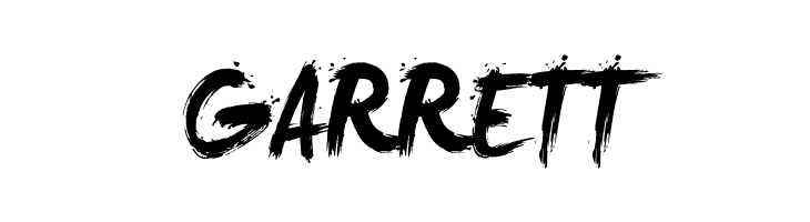 LeviReBrushed  Free Fonts Download