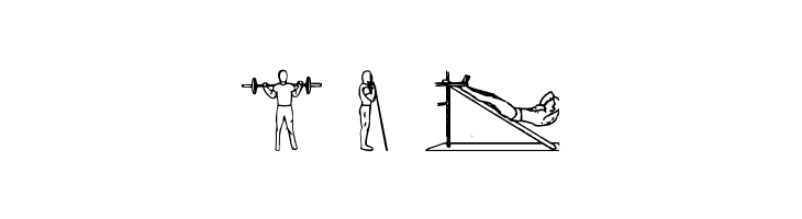 Workout Routine  Free Fonts Download