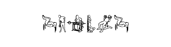 Workout Routine  Free Fonts Download
