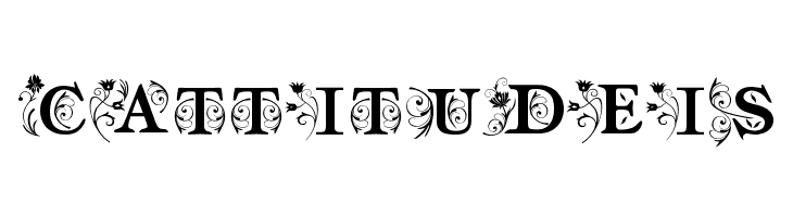 am_intex  Free Fonts Download