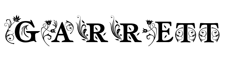 am_intex  Free Fonts Download