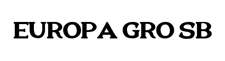 New Flourina Font for 2014  Free Fonts Download