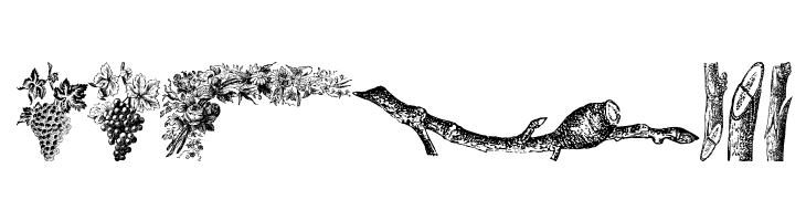 Vegetable Breathe Free  Free Fonts Download