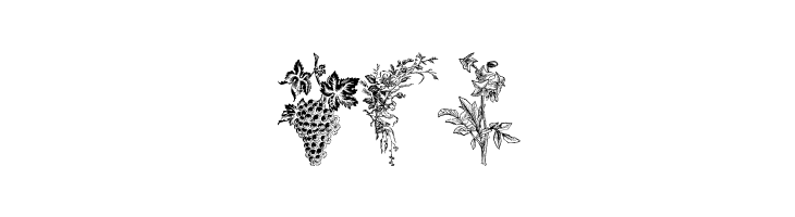 Vegetable Breathe Free  Free Fonts Download