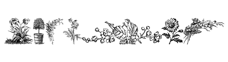 Vegetable Breathe Free  Free Fonts Download