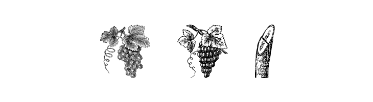 Vegetable Breathe Free  Free Fonts Download