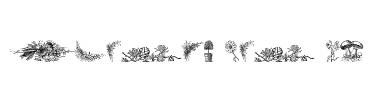 Vegetable Breathe Free  Free Fonts Download