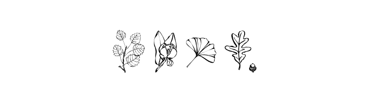 ArborisFolium  Free Fonts Download