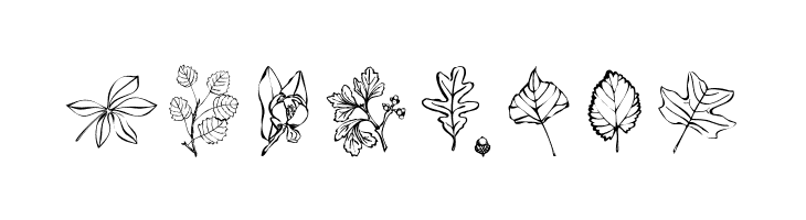 ArborisFolium  Free Fonts Download