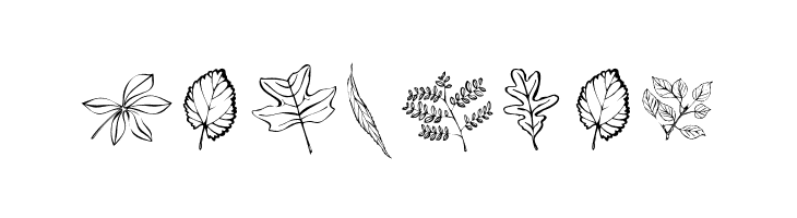 ArborisFolium  Free Fonts Download