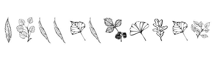 ArborisFolium  Free Fonts Download