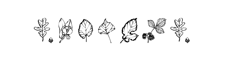 ArborisFolium  Free Fonts Download