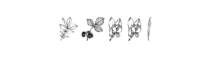 ArborisFolium  Free Fonts Download