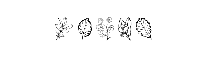 ArborisFolium  Free Fonts Download