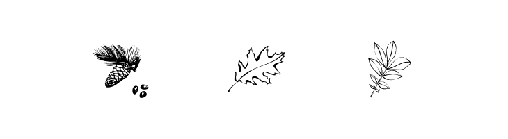 ArborisFolium  Free Fonts Download