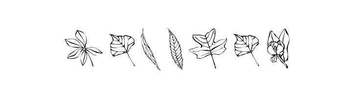 ArborisFolium  Free Fonts Download