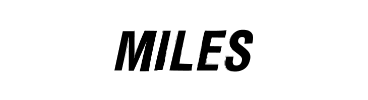 Newside FP Italic  Free Fonts Download