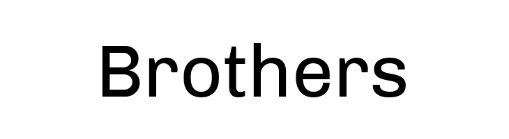 Chivo  Free Fonts Download