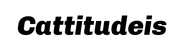 Chivo-BlackItalic  Free Fonts Download