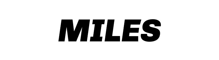 Chivo-BlackItalic  Free Fonts Download