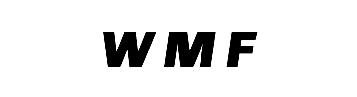 Chivo-BlackItalic  Free Fonts Download