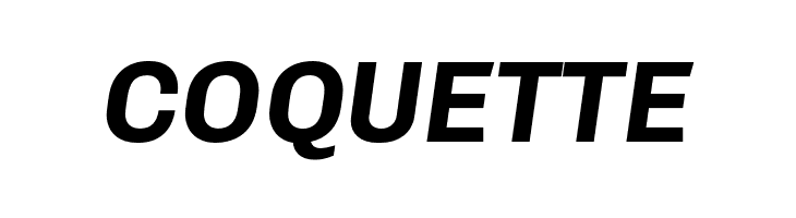 Chivo-BoldItalic  Free Fonts Download