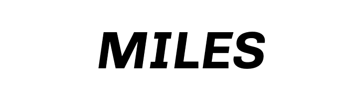 Chivo-BoldItalic  Free Fonts Download