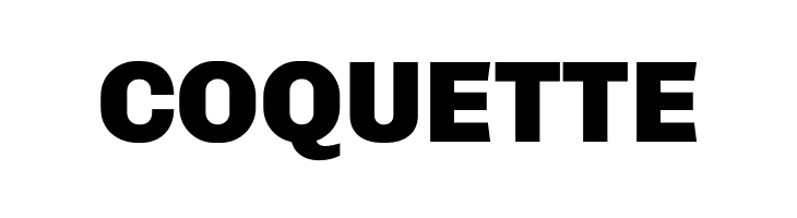 Chivo-Black  Free Fonts Download