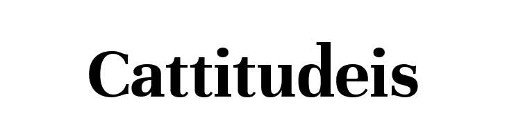 Unna Bold  Free Fonts Download