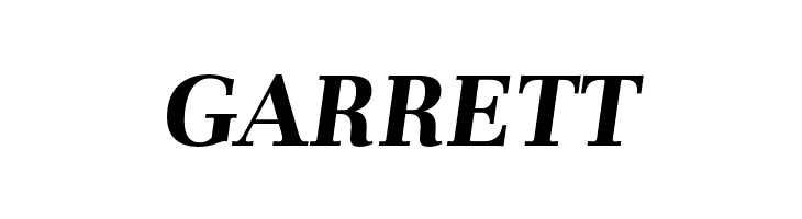 Unna-BoldItalic  Free Fonts Download