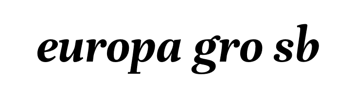 Unna-BoldItalic  Free Fonts Download