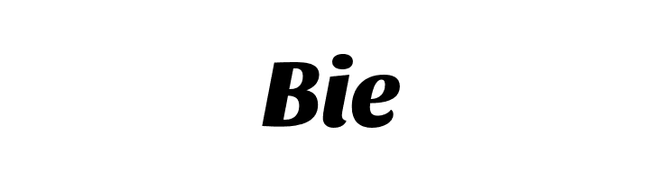 Sansita-ExtraBoldItalic  Free Fonts Download