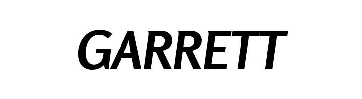 Rosario Bold Italic  Free Fonts Download