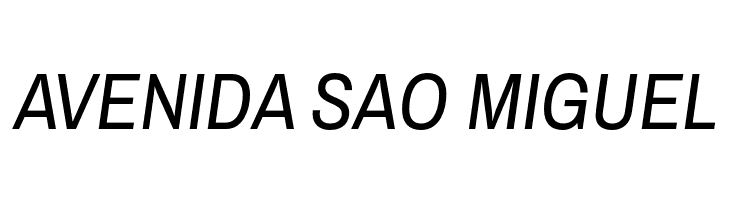 Archivo Narrow Italic  Free Fonts Download